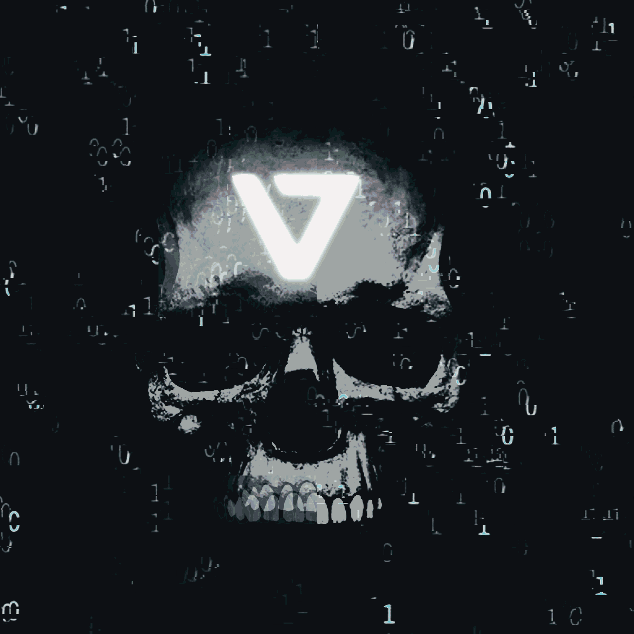 HBAR NFT Collection Vccess Crew / Hskulls
